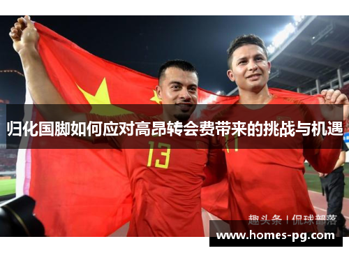归化国脚如何应对高昂转会费带来的挑战与机遇